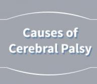 Infographic: Causes of Cerebral Palsy